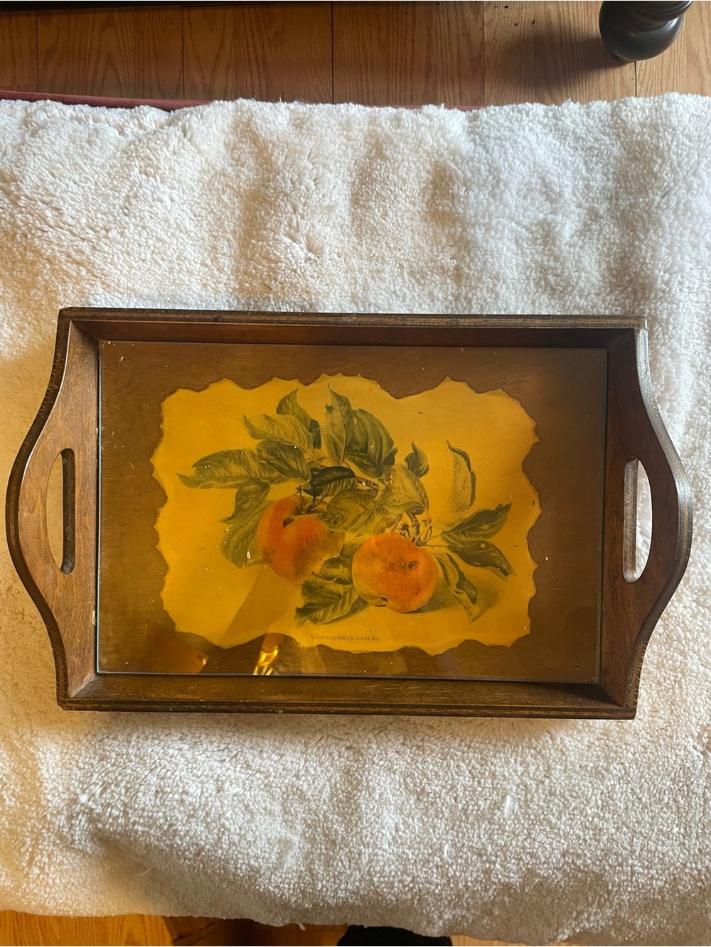 Wooden Serving Tray with Peach Artwork - Brown handcrafted